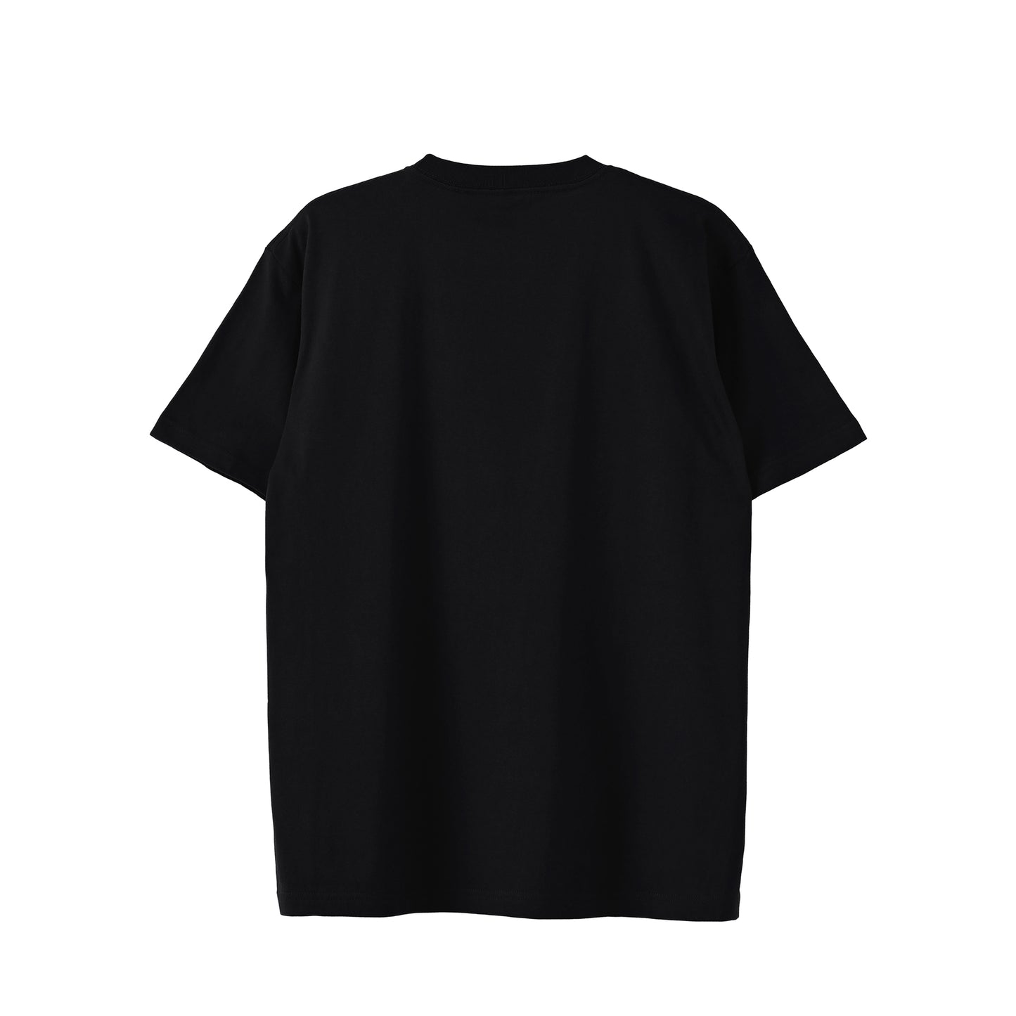 Tシャツ 6.2oz(W&R)